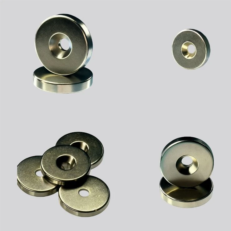 Hitzebeständige Ringmagnete
